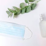 Dishwasher-Safe Organic Wraps: The Truth About Eco-Friendly Food Storage
