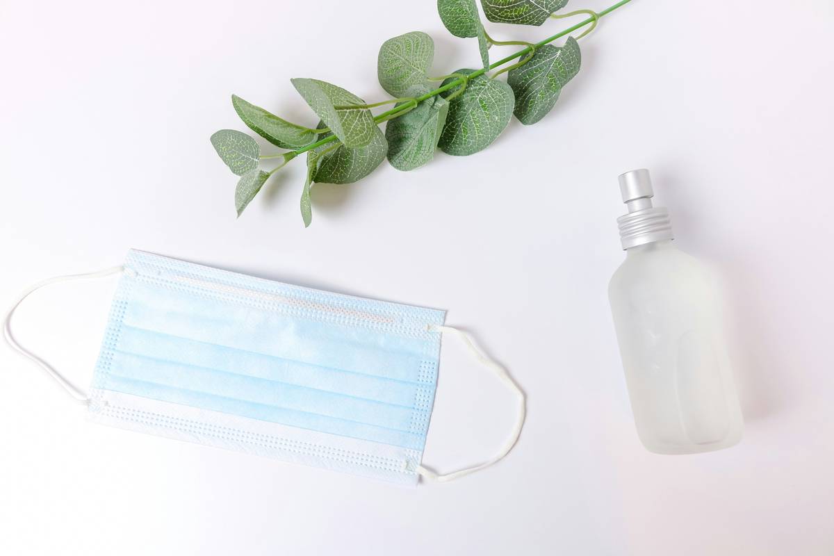 Dishwasher-Safe Organic Wraps: The Truth About Eco-Friendly Food Storage