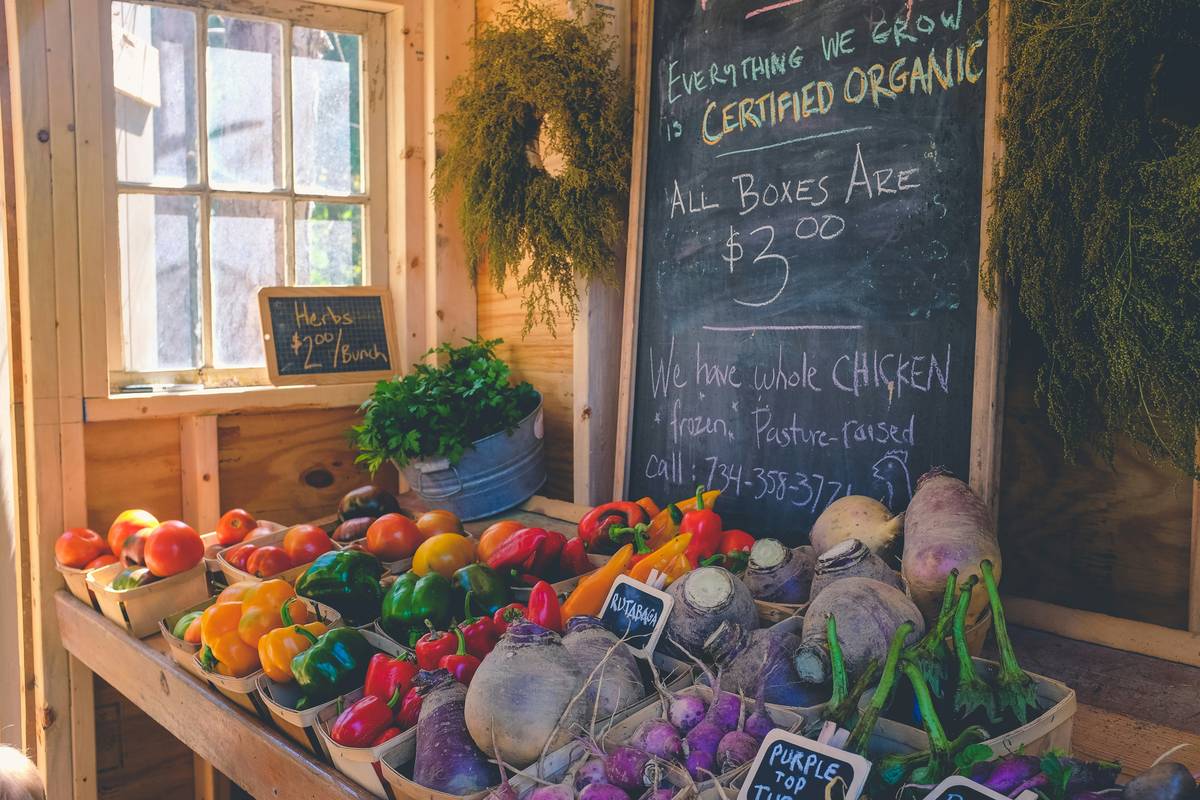 food wrap storage organizer: The Eco-Warrior’s Secret to Taming Kitchen Chaos