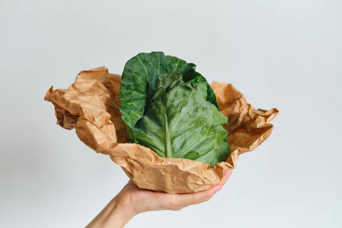 natural covering wrap how to cover hands wrapped in green clay mixture with cloth strips